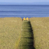 Prince Edward Island ~ Canada