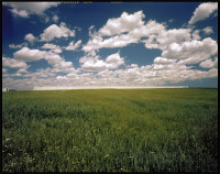 Mazda ~ Logistics Meets Wheat